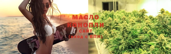 гидра Заречный