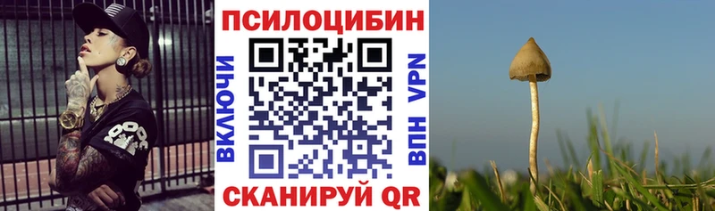Галлюциногенные грибы GOLDEN TEACHER  Малая Вишера 